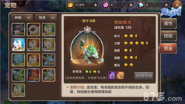 再度实现宠物收集梦，魔力宝贝私服倾情推出的简单介绍