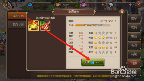 魔力宝贝宠物有档数哪里看-魔力宝贝宠物档位越高越好吗